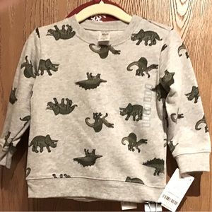 Carter Boy  18 Month sweat Shirt long sleeve